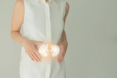 Beyaz elbiseli tanınmayan bir kadın hasta ellerinde çizilmiş böbrekleri var. İnsan böbrek sistemi kavramı.