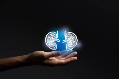 Nefrolog doktor, böbrek sorunları. Tıbbi teknoloji konsepti. Nefroloji.