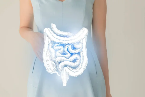 青い服の女性の認識できない患者は 手の中に有名な腸を強調した 消化器系の概念 — ストック写真