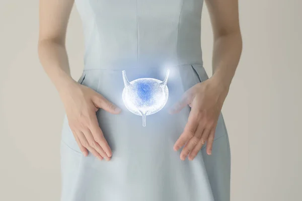 青い服の認識できない女性患者は 手に手のひらの膀胱を強調した ヒト腎臓系の概念 — ストック写真