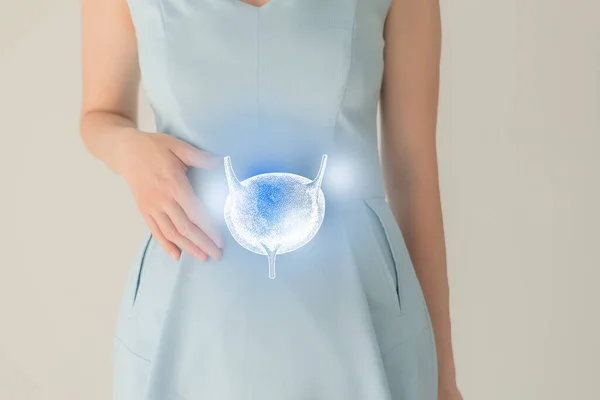 穿着蓝色衣服的无法辨认的女性病人 手拿着突出的手绘膀胱 人类肾系统问题概念 — 图库照片