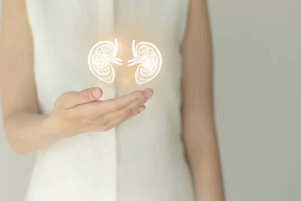 Paciente Femenina Irreconocible Vestida Blanco Destacando Riñones Hechos Mano Las — Foto de Stock