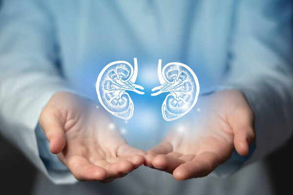 kidney issues medical concept. Photo of female doctor, empty space. 