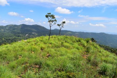 Sirumalai Tepesi, Vellimalai Sivan Tapınağı