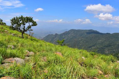 Sirumalai Tepesi, Vellimalai Sivan Tapınağı