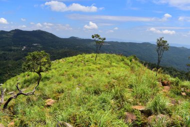 Sirumalai Tepesi, Vellimalai Sivan Tapınağı