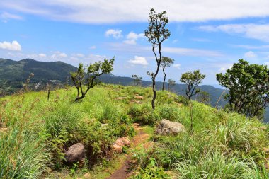 Sirumalai Tepesi, Vellimalai Sivan Tapınağı