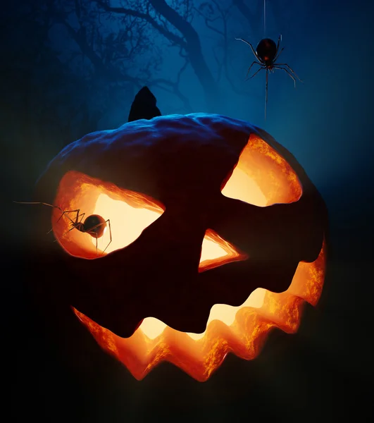 Zucca di Halloween e ragni — Foto Stock