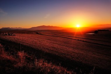 Tarım arazileri üzerinde gündoğumu