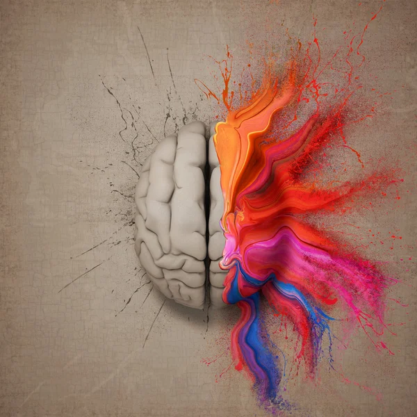 The Creative Brain — Stock Photo, Image