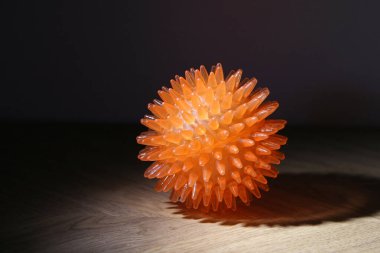 Turuncu yumuşak top oynamak ve köpekleri eğitmek için.