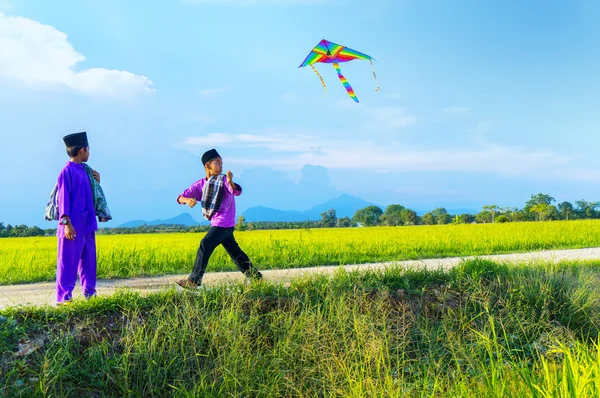 Chłopcy latający latawiec w pola ryżowego — Zdjęcie stockowe