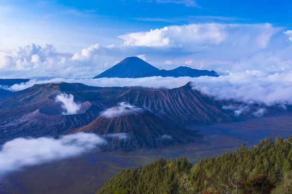 Monte bromo mattina presto — Foto Stock