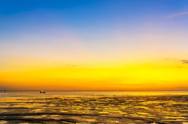 Sunset at muddy beach — Stock Photo, Image