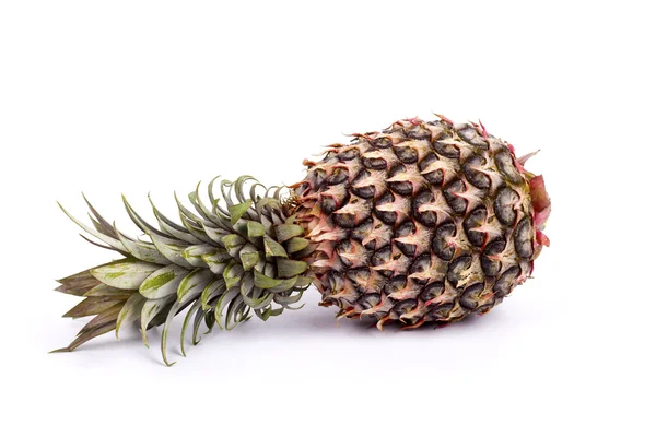 Fresh pineapple isolated — Stock Photo, Image