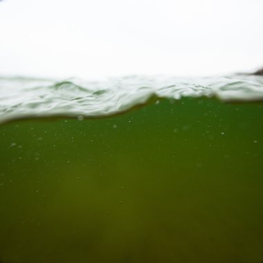 Deniz suyu Close-Up
