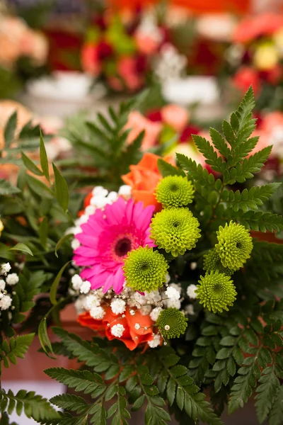 Hermosas flores — Foto de Stock