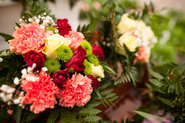 Bellissimi fiori — Foto Stock