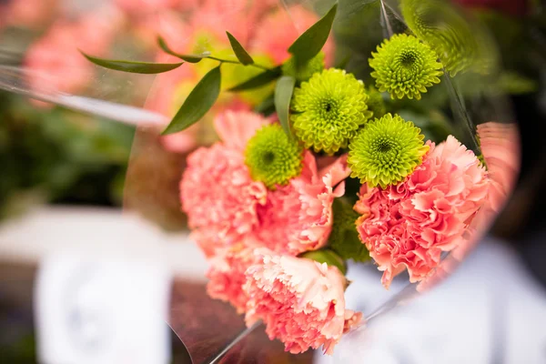 Schöne Blumen — Stockfoto