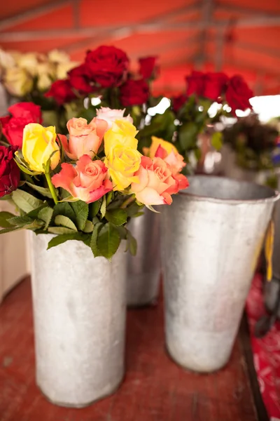 Schöne Blumen — Stockfoto