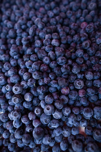 Blueberries — Stock Photo, Image