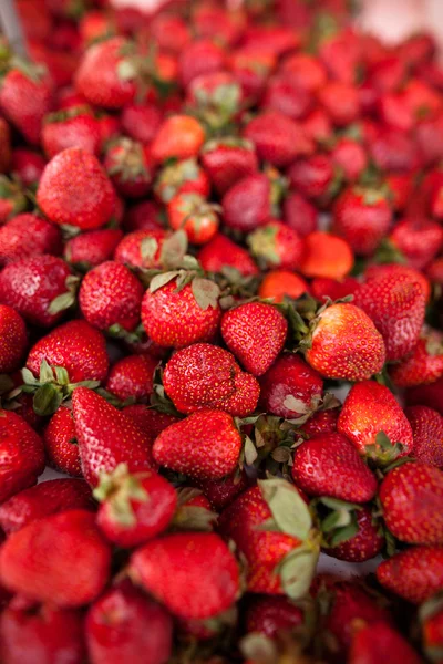 Fresas frescas — Foto de Stock