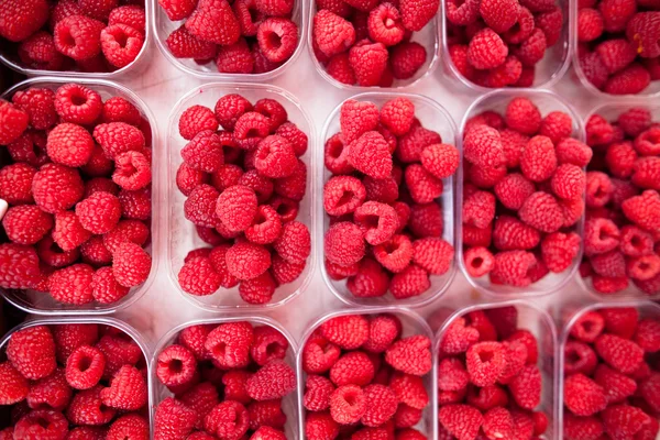 Raspberries — Stock Photo, Image