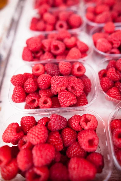 Raspberries — Stock Photo, Image