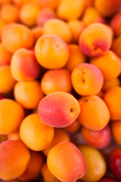 Apricots Stock Image