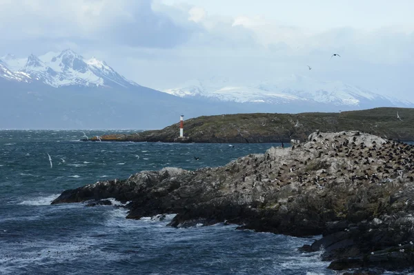 A Beagle-csatorna, a fő sziget a szigetcsoport a Tierra del Fuego elválasztó, és a sziget déli részén fekvő — Stock Fotó