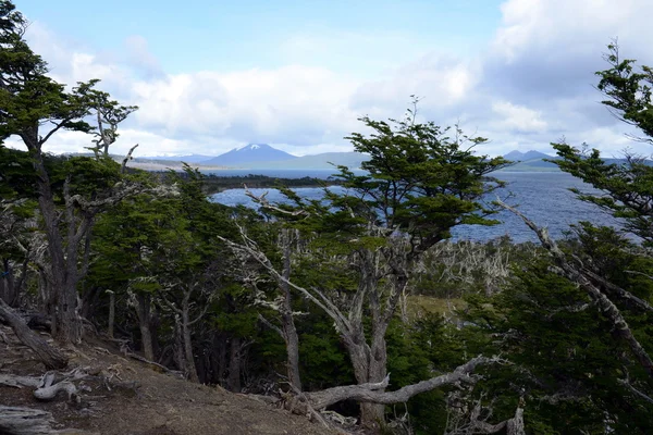 Η Lago Blanco σχετικά με το νησί της Tierra del Fuego. — Φωτογραφία Αρχείου