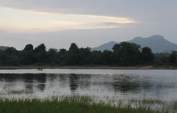 Morning on the lake of the island of Sri Lanka. — Stock Photo, Image
