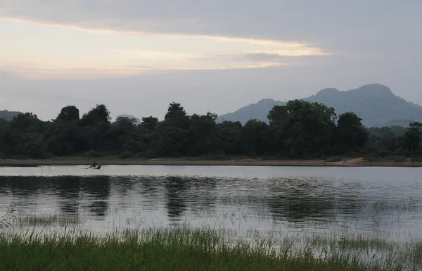 Morgen auf dem See der Insel sri lanka. — Stockfoto