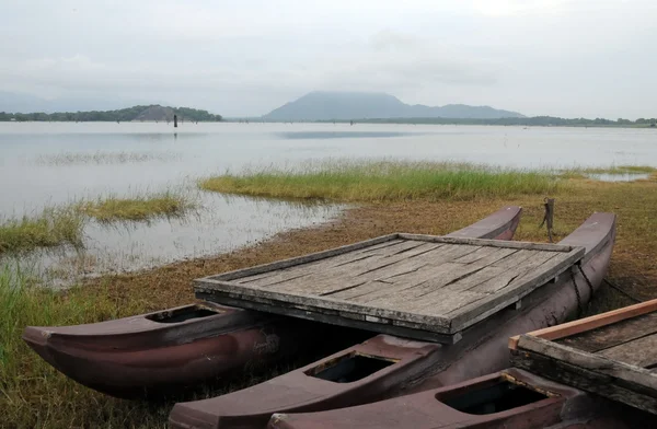 Morning on the lake of the island of Sri Lanka. — Stock Photo, Image