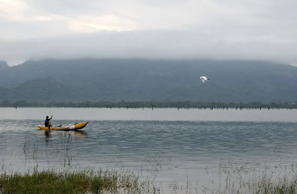 Morning on the lake of the island of Sri Lanka. — Stock Photo, Image