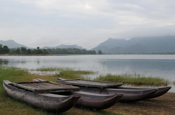 Morning on the lake of the island of Sri Lanka. — Stock Photo, Image