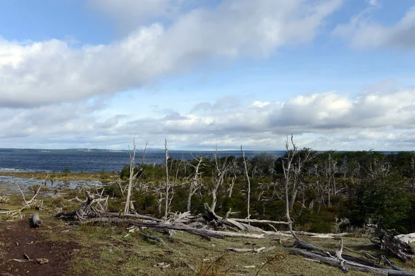 O Lago Blanco na ilha de Tierra del Fuego . — Fotografia de Stock