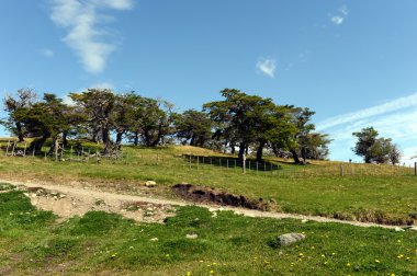  Harberton estate is the oldest farm of Tierra del Fuego clipart