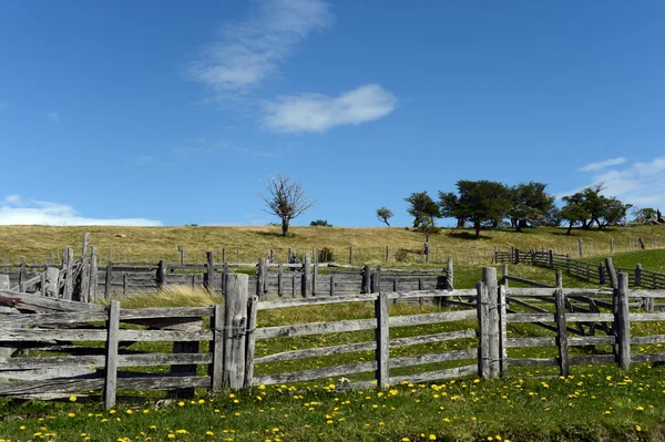Harberton é a fazenda mais antiga da Terra do Fogo e um importante monumento histórico da região . — Fotografia de Stock