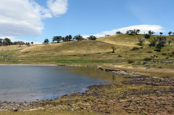 Harberton är den äldsta gården av Tierra del Fuego och ett viktigt historiskt monument i regionen. — Stockfoto