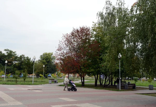 Voronej zafer Parkı. — Stok fotoğraf
