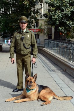  Köpek Santiago sokakta Karabiner-a.