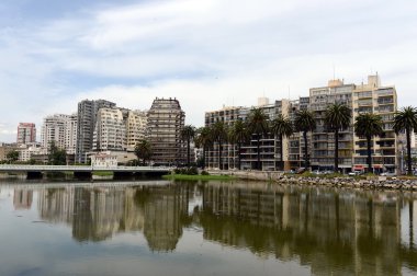 Vina del Mar şehir