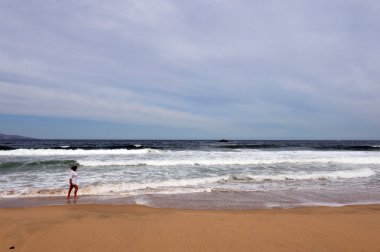   Vina del Mar beach.