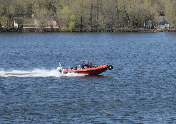 Bateaux amphibies "SEALEGS-7.1 " — Photo