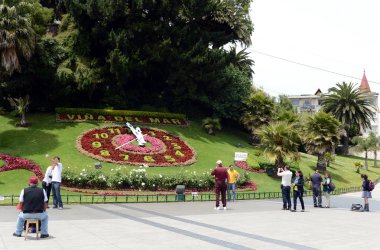  Çiçek saat Vina del Mar.