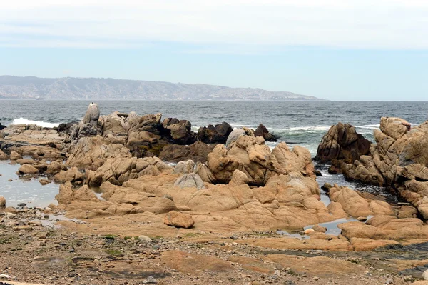 Rocky beach in Vina del Mar. — Stock Photo, Image