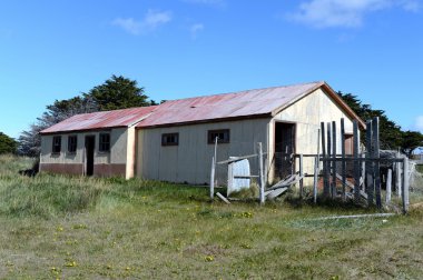 Şili'deki San Gregorio komün.