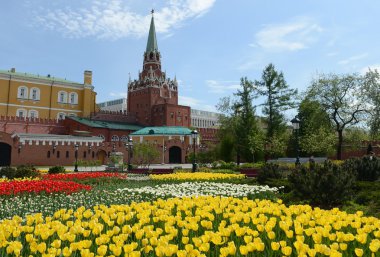 Alexandrovsky Bahçe. Park Moskova Merkezi.