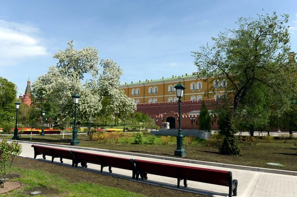 Alexandrovském. Park v centru Moskvy. — Stock fotografie
